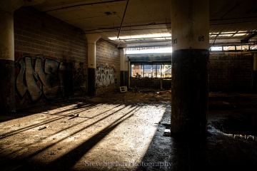 In Shadows