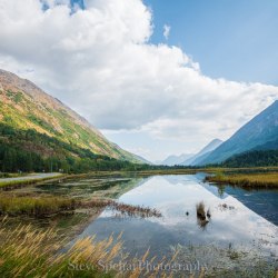 Tern Lake