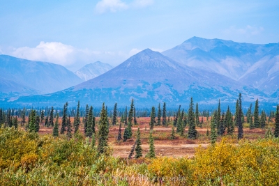 Denali Range