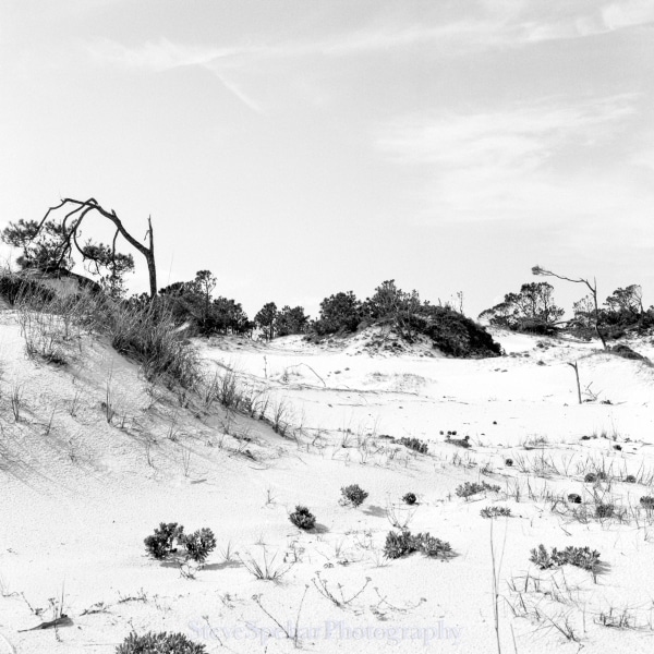 Untitled #3