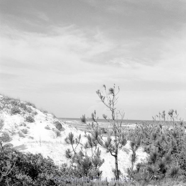 Untitled #4