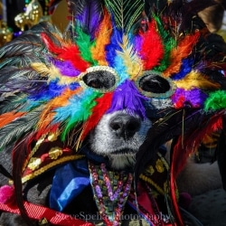 Spirit Spirit