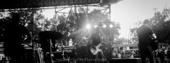 Mirliton Fest