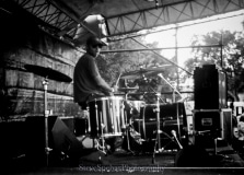 Mirliton Fest
